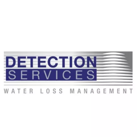 Detection-Services